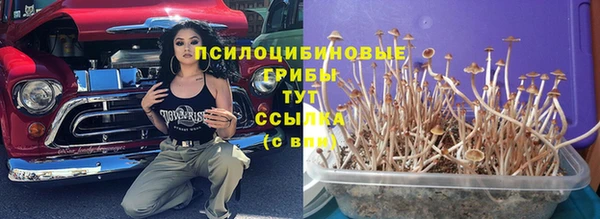 меф Балахна